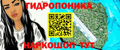 PSILOCYBIN Можга
