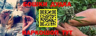 PSILOCYBIN Можга